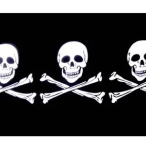 Drapeau Pirate triple roger